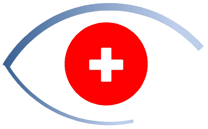 Swiss Eye Research Meeting